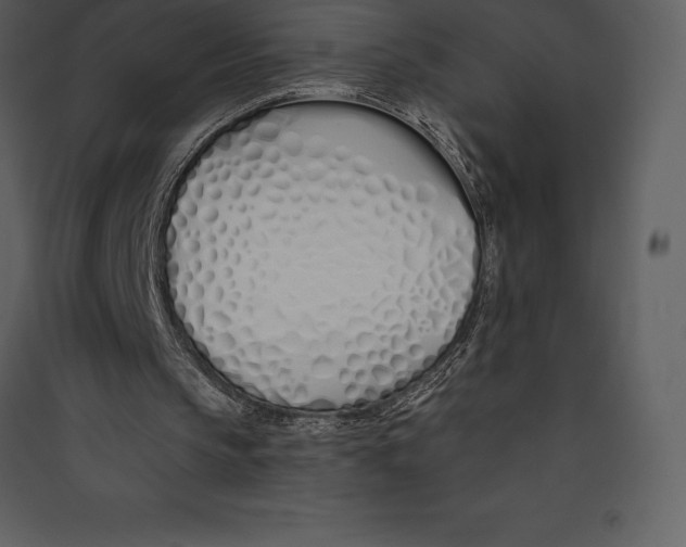 X0000089420145200707131829