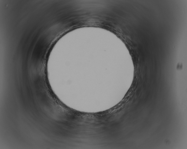 X0000089420146200707131829