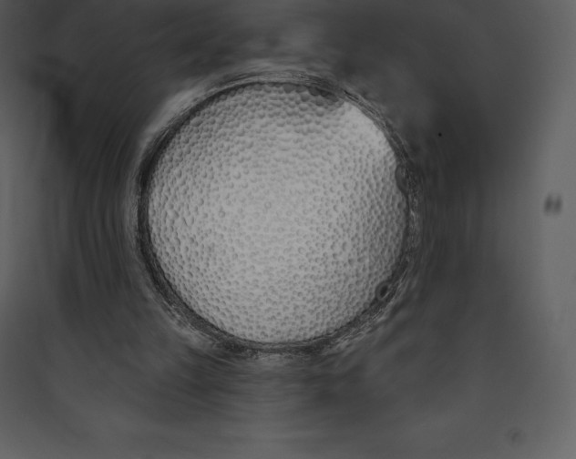 X0000089420149200707131829