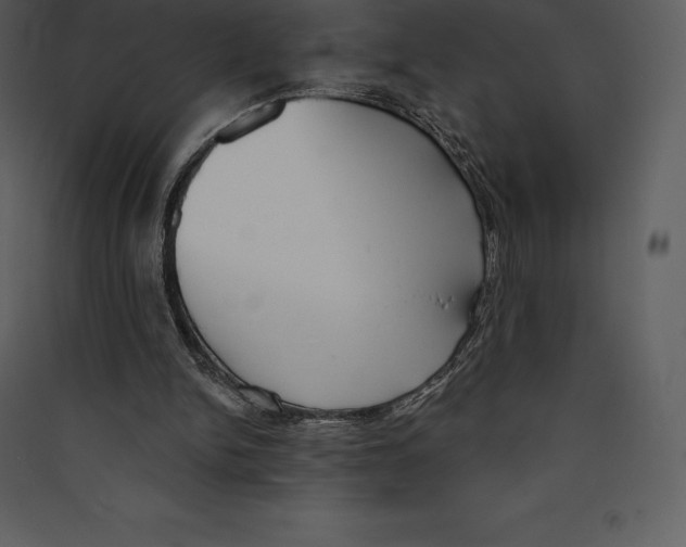 X0000089420150200707131829