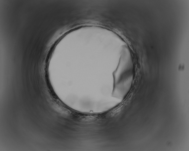 X0000089420151200707131829