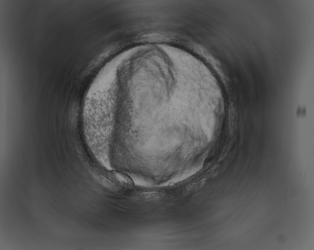 X0000089420153200707131829