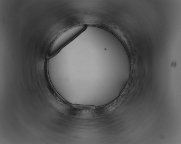 X0000089420154200707131829