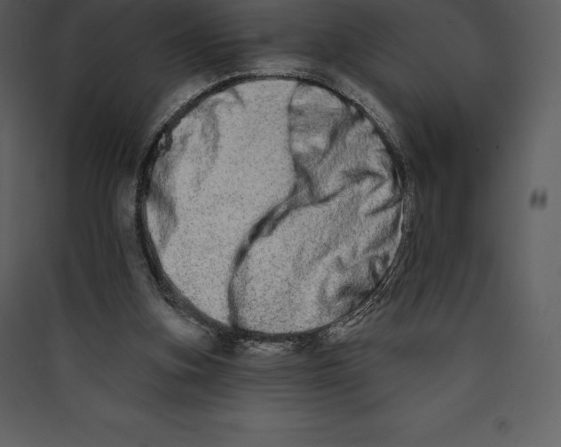 X0000089420155200707131829
