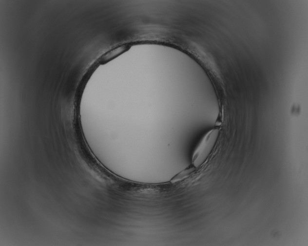 X0000089420156200707131829