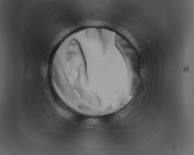 X0000089420159200707131829