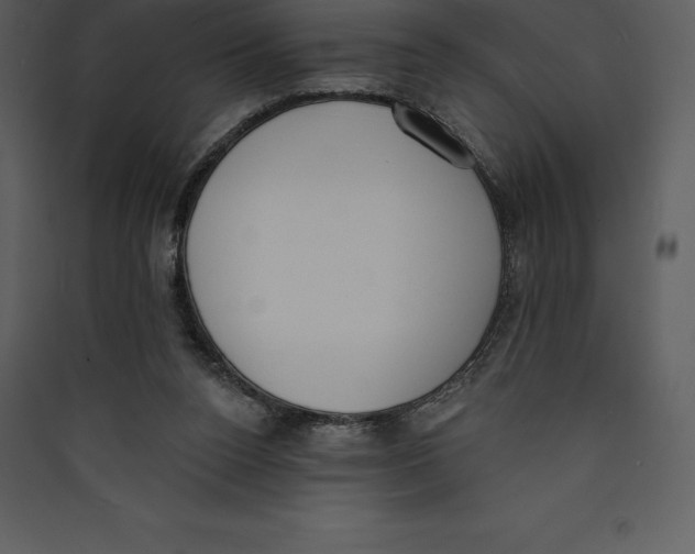 X0000089420160200707131829