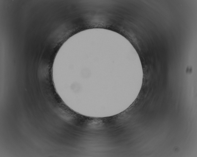 X0000089420162200707131829
