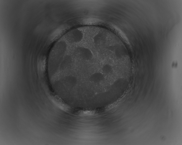 X0000089420163200707131829