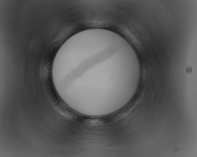 X0000089420165200707131829