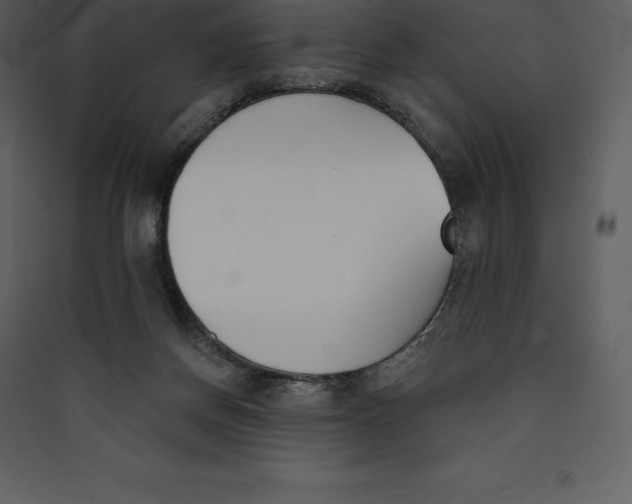 X0000089420166200707131829