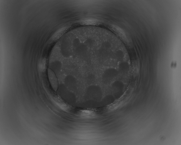 X0000089420167200707131829