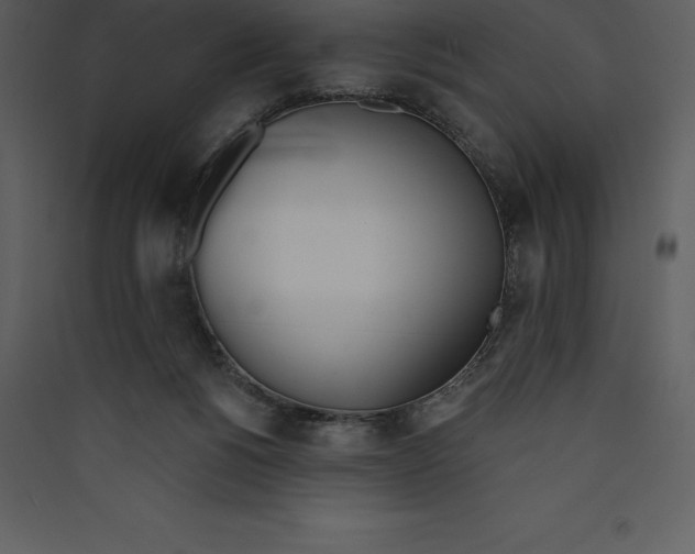 X0000089420168200707131829