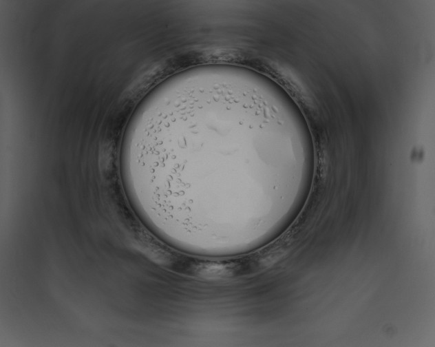 X0000089420169200707131830