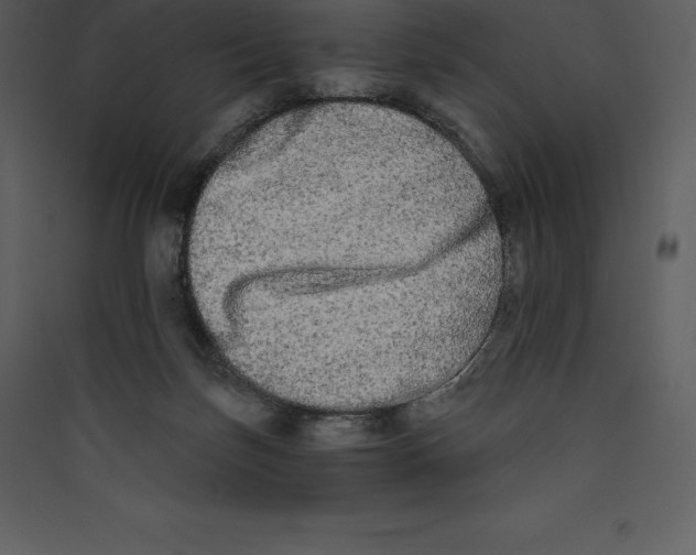 X0000089420171200707131830