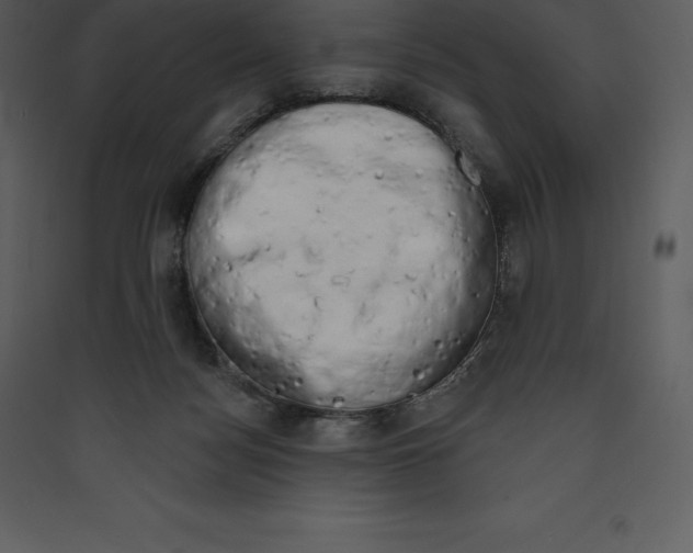 X0000089420172200707131830