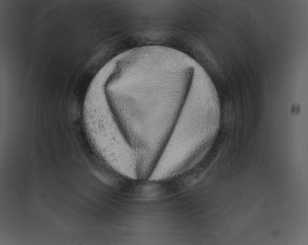 X0000089420173200707131830