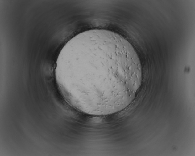 X0000089420176200707131830