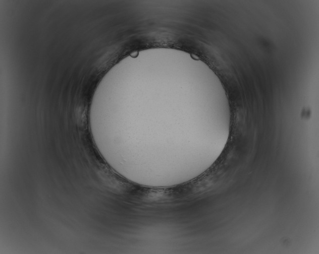 X0000089420177200707131830