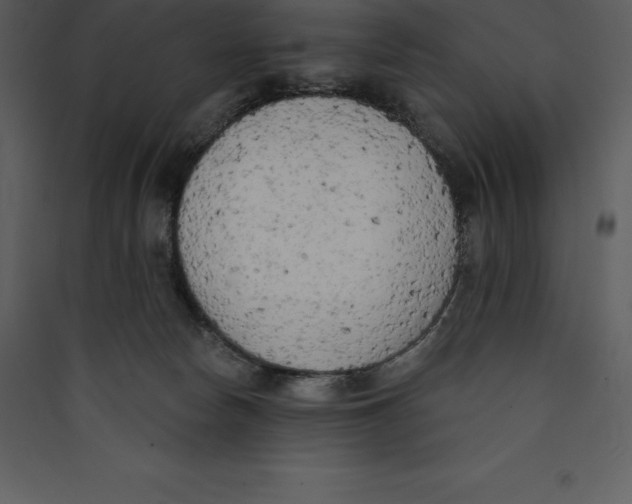 X0000089420178200707131830