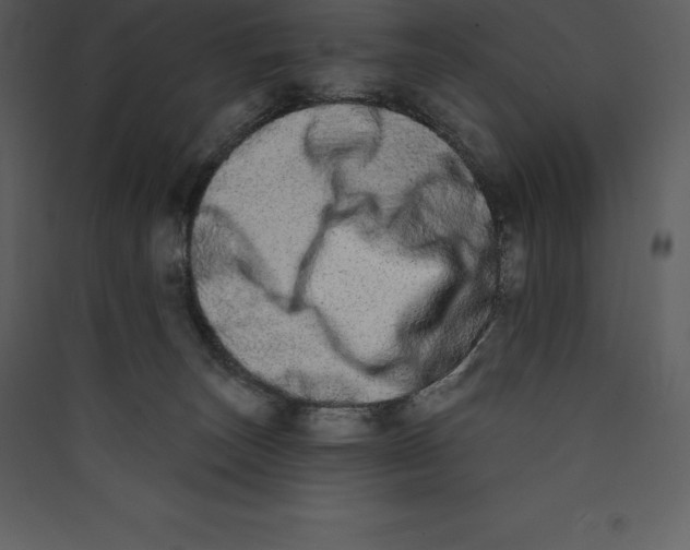 X0000089420179200707131830