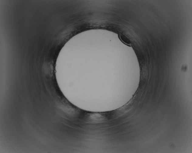X0000089420183200707131830