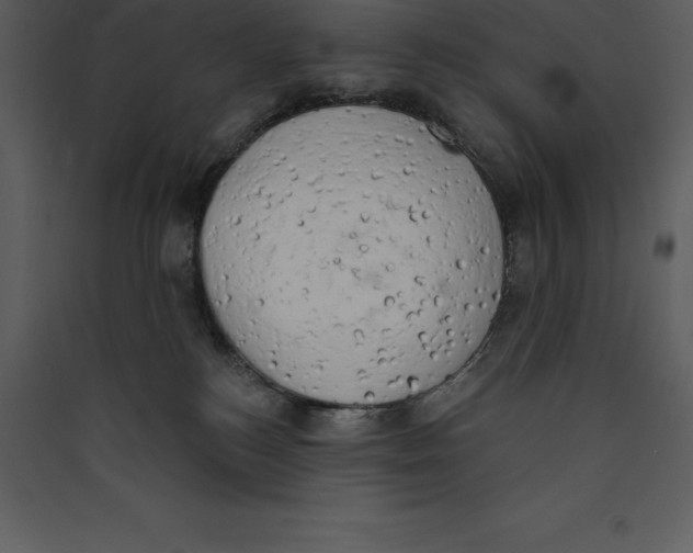 X0000089420184200707131830