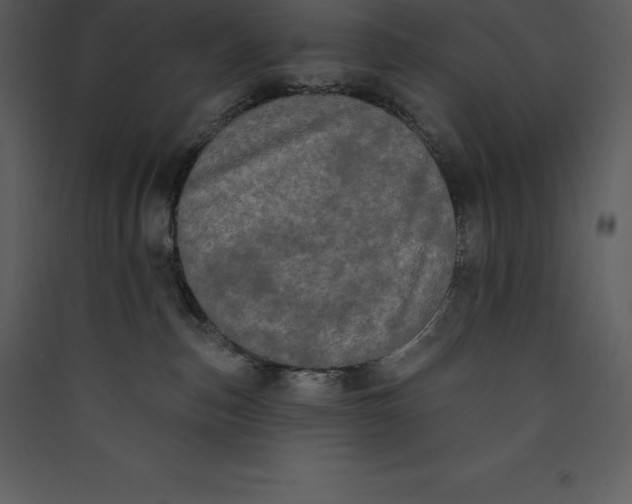 X0000089420187200707131830