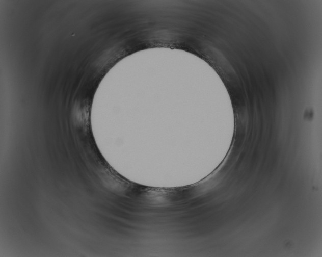 X0000089420190200707131830