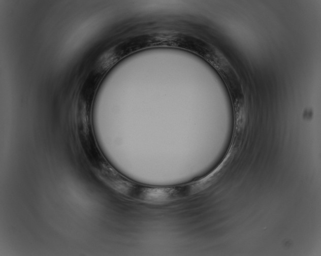 X0000089420191200707131830
