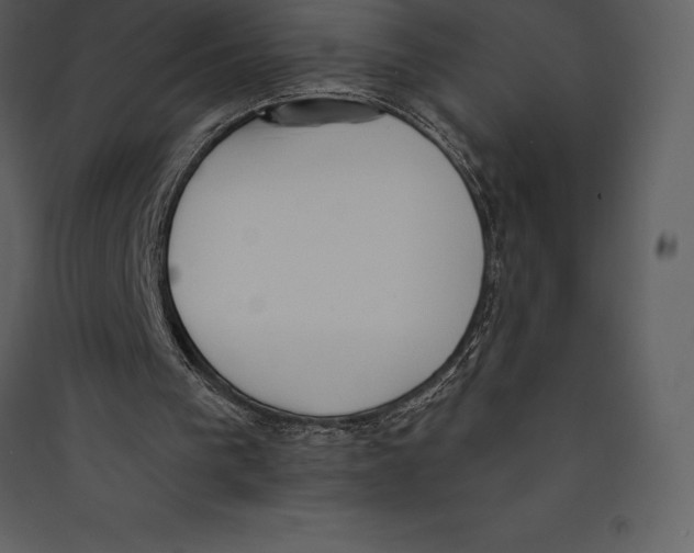 X0000089420193200707131829