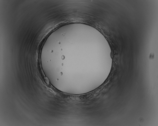 X0000089420194200707131829