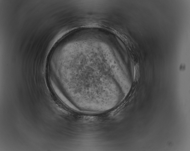 X0000089420195200707131829
