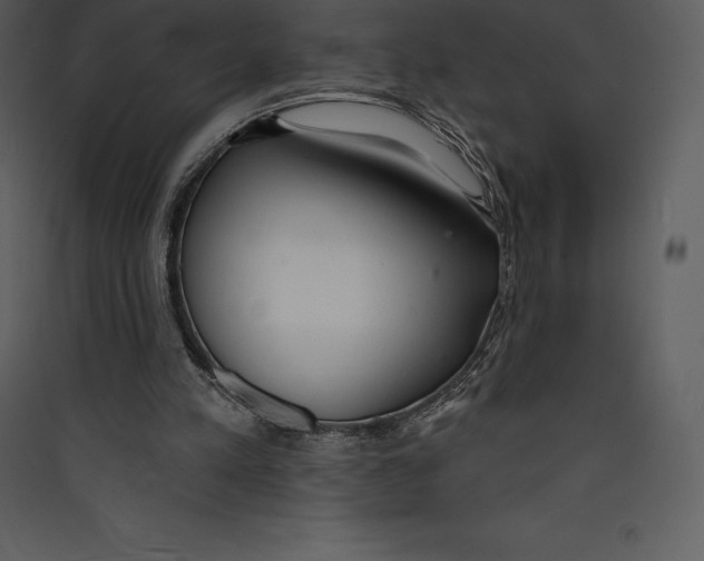 X0000089420197200707131829