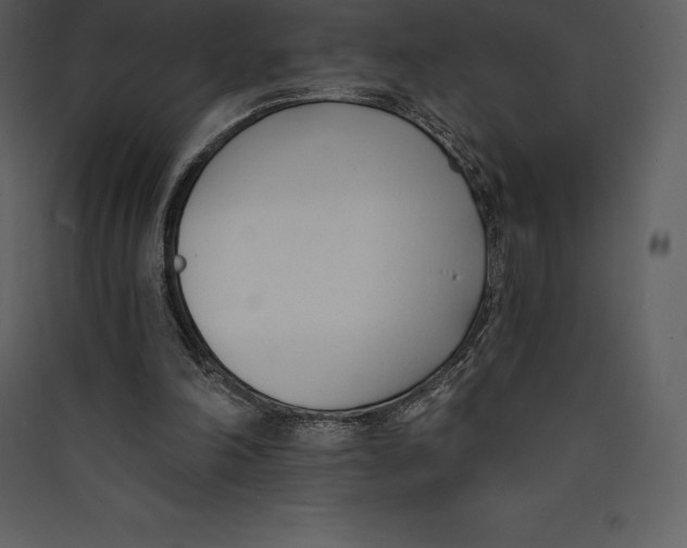 X0000089420198200707131829