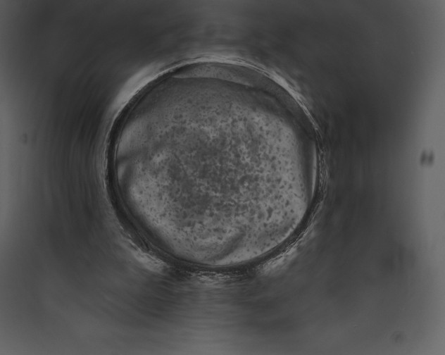 X0000089420199200707131829