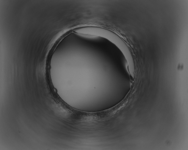 X0000089420200200707131829
