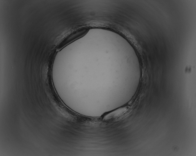 X0000089420201200707131829