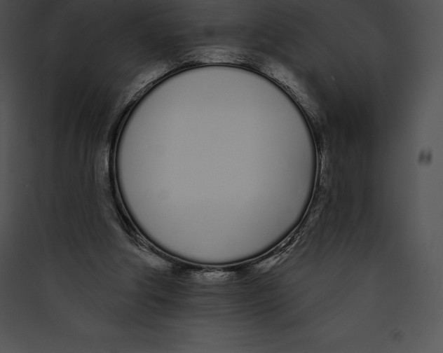 X0000089420202200707131829