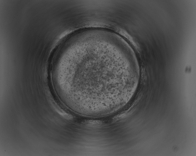 X0000089420203200707131829