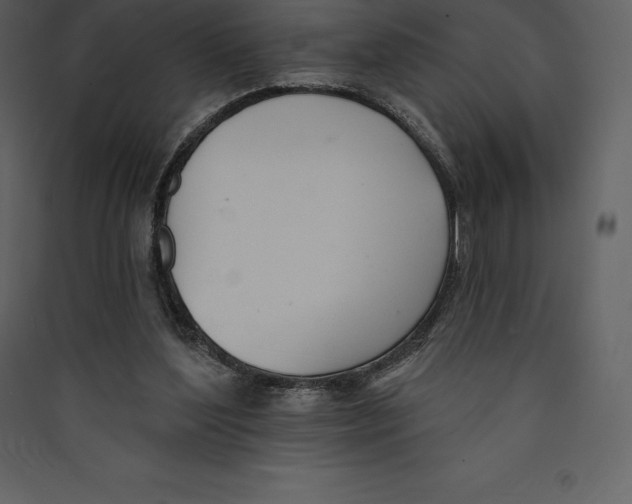 X0000089420204200707131829