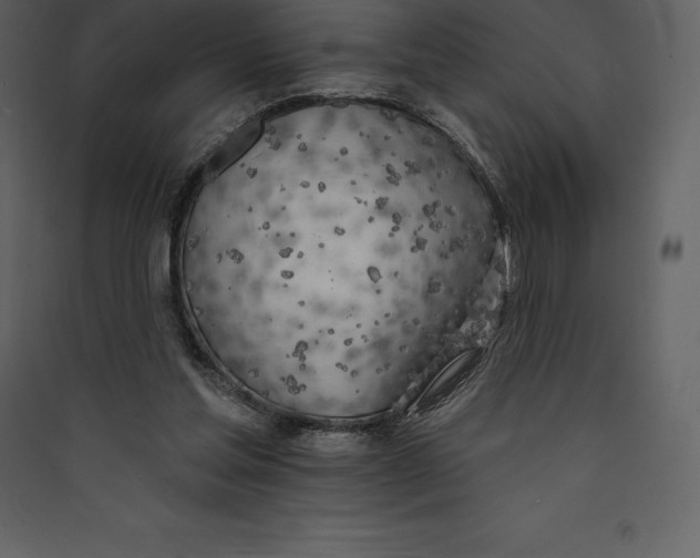 X0000089420205200707131829