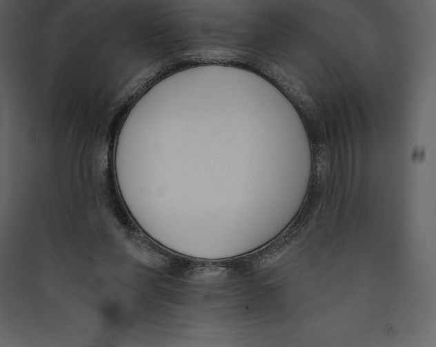 X0000089420206200707131829