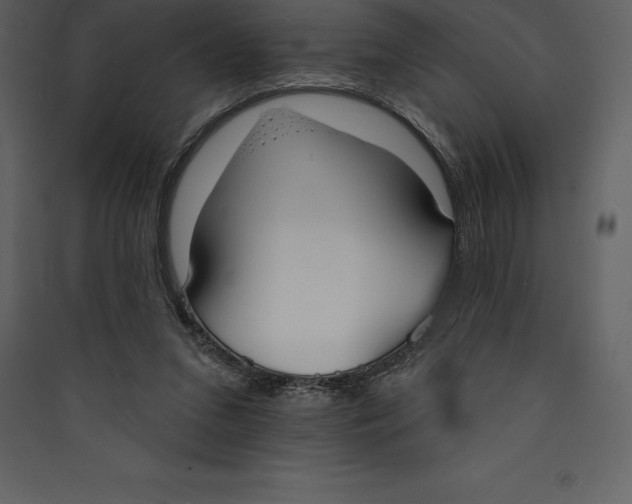 X0000089420207200707131829