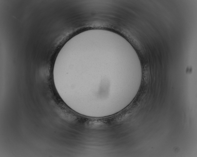 X0000089420208200707131829