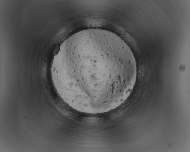 X0000089420209200707131829