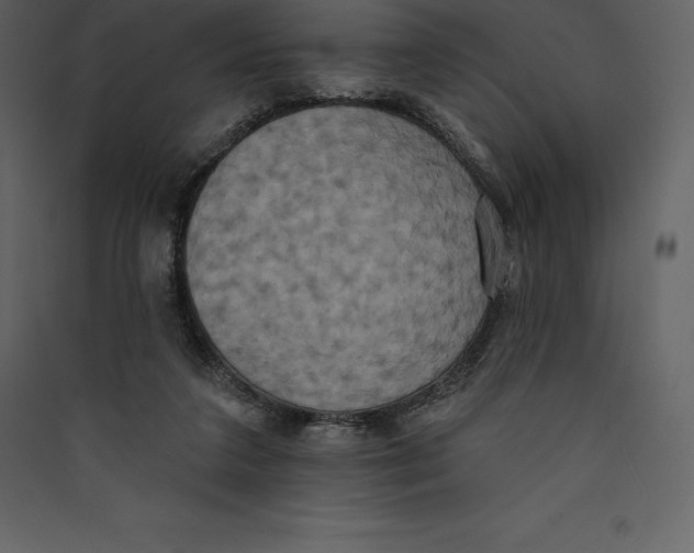 X0000089420211200707131829