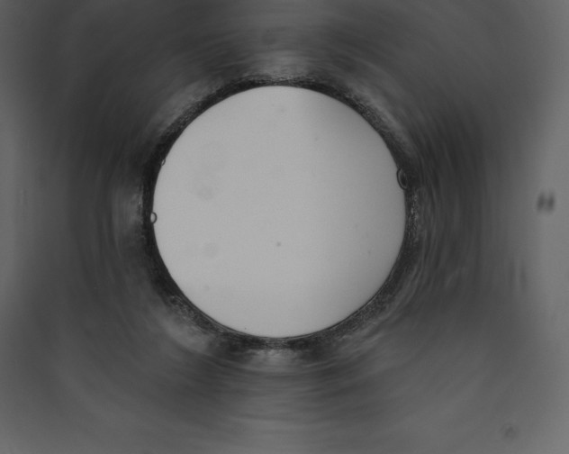 X0000089420212200707131829