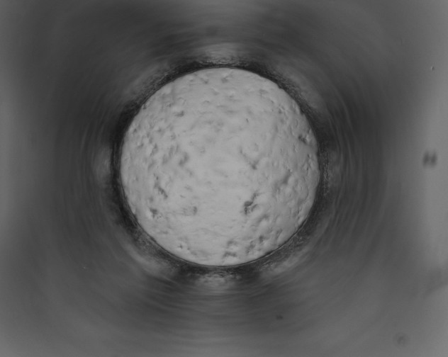 X0000089420213200707131829