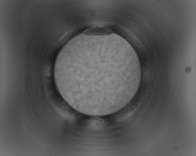 X0000089420215200707131829